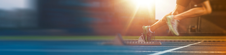 dynamism prima power